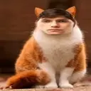 theshanezzz