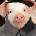 pivopivo123555