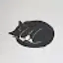 Lolz profile picture for @Apes