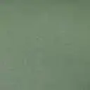 Nigersslight