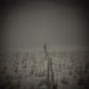 nsdkfbbr