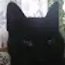 niros
