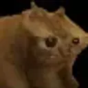 lanKrys