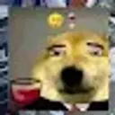 Popofskfuytio