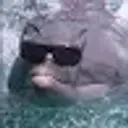 Josh5348545
