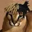 arrrus