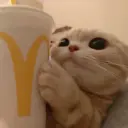 lilbeibik