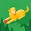 Lolz profile picture for @Swamp