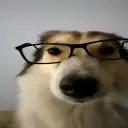 djdufueiejf