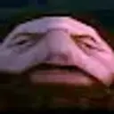 RedBearWASD