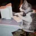 ИроничныйЧёрт