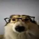 Lolz profile picture for @situation