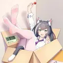 freeqn2888888