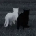Bartu2fast