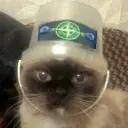 lork1337