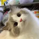enterly14
