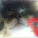 ashfjkasdhfk
