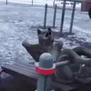 Vasiliy_104tiy