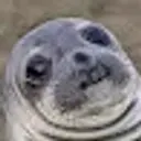 Lolz profile picture for @warehouse