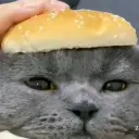 labexyt