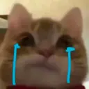 ROARPLAY_inactive