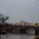 belladonna_x