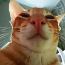 id497180542