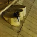 huntixed