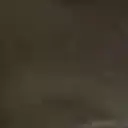 bbeki