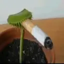 abchknig