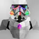 Kotpro5744