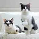 hyhtby