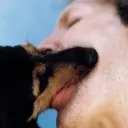 FIoppa