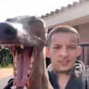 novokekdyrak