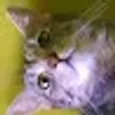 Lolz profile picture for @deserter