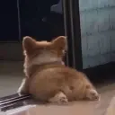 shootertato