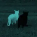 h00k_fl4me0ut