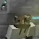 Vlaymysss