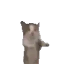 Nobasina
