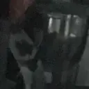 dxhkkl