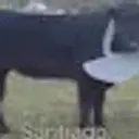 hugbzuhu