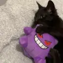 murtvay