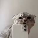 sonyawwq1