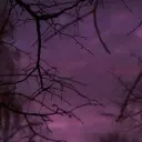 LORD_0_LORD