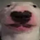 nrmn
