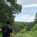 treeon6556