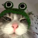 vidosii