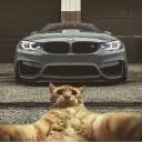Dimka1