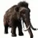 Avokaka