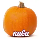 Ryebvxgwy
